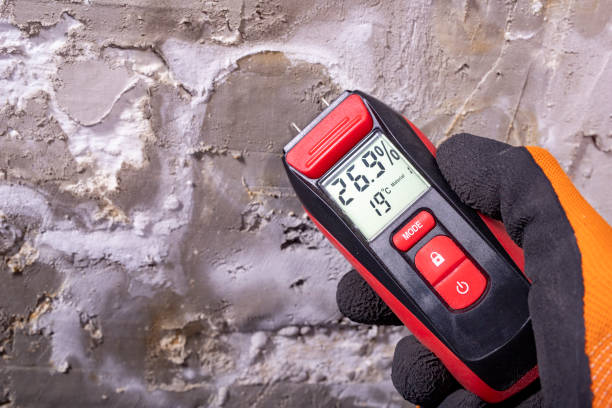Best Mold Remediation Experts  in Plover, WI