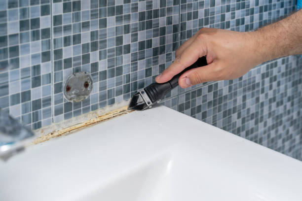 Best Residential Mold Removal  in Plover, WI