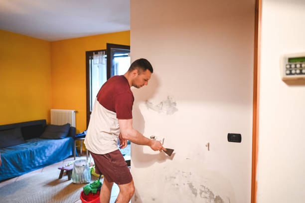 Best Mold Cleaning Services  in Plover, WI