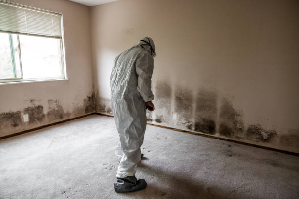 Crawl Space Mold Removal in Plover, WI